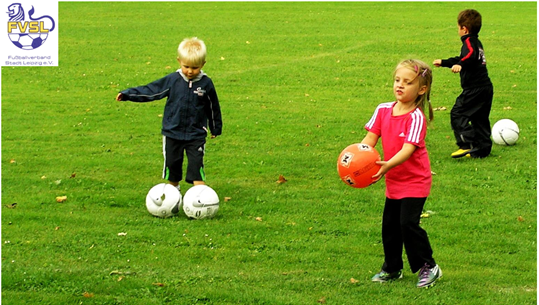 Kurzschulung FairPlay-Liga
