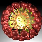 Generelle Spielabsage wegen Coronavirus im FVSL in allen Ligen und Altersklassen vorerst bis einschließlich 22. März 2020