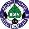 bsv-schoenau